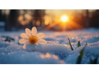 暴雪過后的寧?kù)o與春陽的無力感