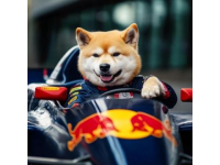 驚險(xiǎn)連環(huán)車(chē)禍！新加坡女司機(jī)駕奧迪狂撞四車(chē)后抱狗逃離，身份成謎引熱議！