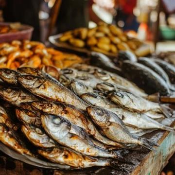 你知道嗎？金鯧魚的蛋白質(zhì)含量竟高達(dá)每100克15.6克！