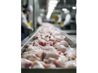 雅安壇子肉新制教程：從煉油到冷藏的詳細(xì)制作過程揭秘