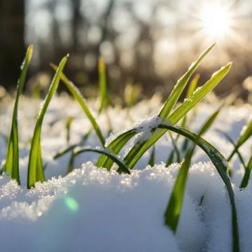 大寒已至：傾聽雪語(yǔ)，靜待春歸，迎接新的一年