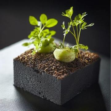 春分頂流！藏在田埂邊的米其林盛宴正當時