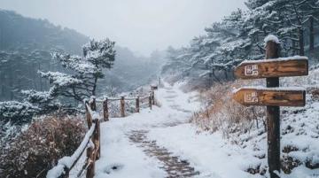 冬日童話丨大連熱點(diǎn)之旅丨6條精品線路,赴冬日之約~——冬日童話二日游