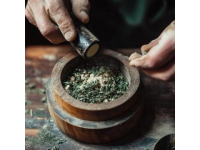 春日必嘗：榆錢(qián)的多樣吃法與創(chuàng)意烹飪技巧