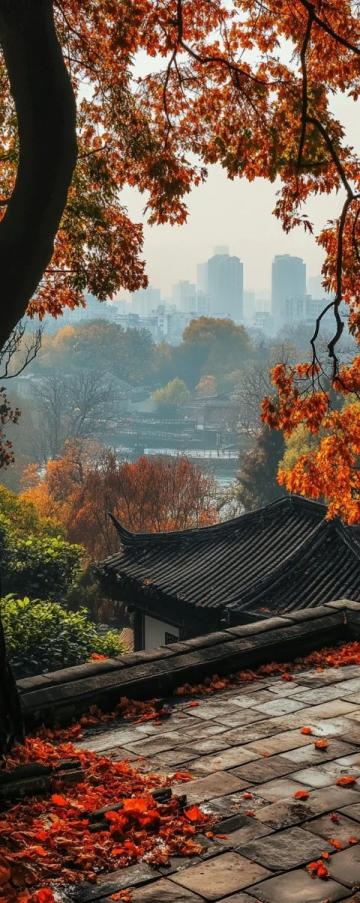 10月收官了，昨早出門，今天晚飯前到家了,揚州2日游吧