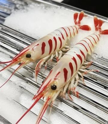 在周水前劉大龍蝦店的美食體驗：小龍蝦、烤串與榴蓮盛宴