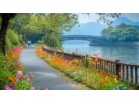 漫步江蘇這座寶藏小城，沉浸式賞花體驗(yàn)童話之旅