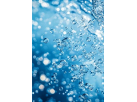 武漢碳水狂想曲24小時(shí)暴走舌尖江湖，揭開九頭鳥的饕餮密碼武漢美食新篇章