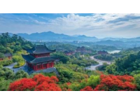 最新版！普陀山自由行攻略，吃住行玩一網(wǎng)打盡！