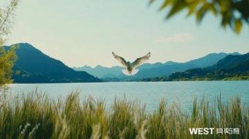 無錫旅游攻略太湖明珠的詩意漫游，人均1000元玩轉(zhuǎn)江南韻味