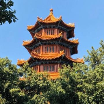 南昌居住近40年首次探訪梅嶺獅子峰：自然風(fēng)光與文化之旅