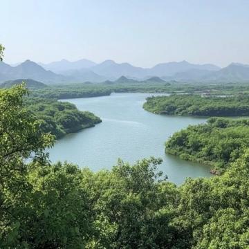 南昌居住近40年首次探訪梅嶺獅子峰：自然風(fēng)光與文化之旅