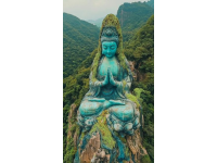 福建佛跳墻：閩味經(jīng)典，千年傳承與創(chuàng)新相融合