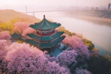 四日三夜武漢賞櫻游：暢游各大精華景點(diǎn)攻略