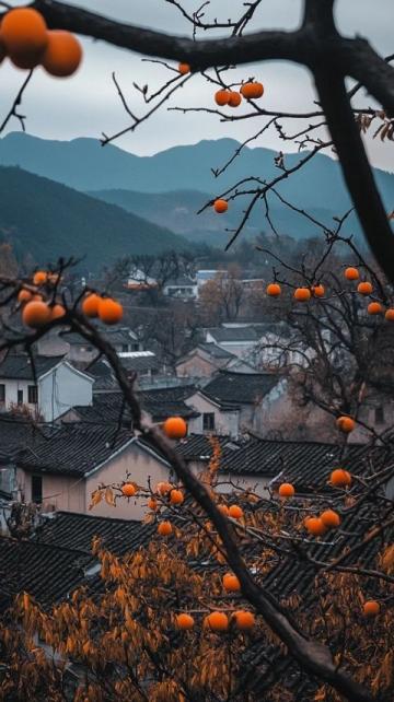 旅行知識分享之中國紅橙之鄉(xiāng)~廉江