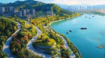 杭州團(tuán)建一日游:龍塢采茶點(diǎn)茶劇本殺體驗(yàn)