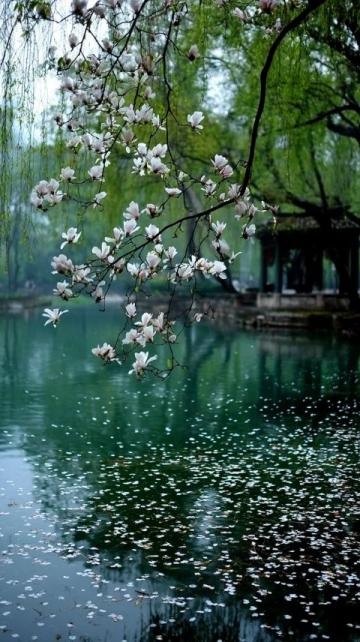 蘇州旅游攻略：名園勝景、水鄉(xiāng)古鎮(zhèn)、美食文化一網(wǎng)打盡