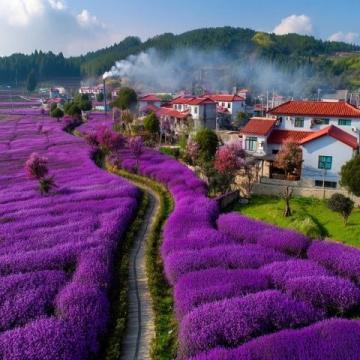 東極島旅行指南：探索中國最東方島嶼的實用貼士與打卡秘籍