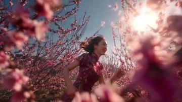 西藏林芝：遇見中國最美的春天 ??? ?? ??