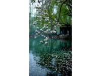 蘇州旅游攻略：名園勝景、水鄉(xiāng)古鎮(zhèn)、美食文化一網(wǎng)打盡