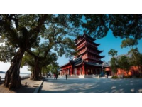 江蘇揚(yáng)州是淮揚(yáng)菜的發(fā)源地之一，以其精致、鮮美的風(fēng)味和講究的刀工聞名