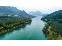 揭秘海南神奇土地：空氣負氧離子含量高，爬山不累呼吸暢快，父親雙腿腫脹奇跡般消退！