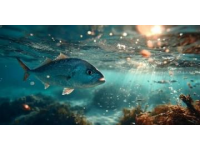 怎樣培育龍魚最佳狀態(tài)（龍魚養(yǎng)護攻略）