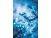 風(fēng)濕免疫必考知識點(diǎn)，這些考點(diǎn)你知道幾個(gè)？