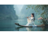 廈門之旅：海風(fēng)輕拂，繁花伴行，筼筜湖畔白鷺飛舞