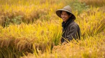 舌尖上的中國(guó)：美食之旅
