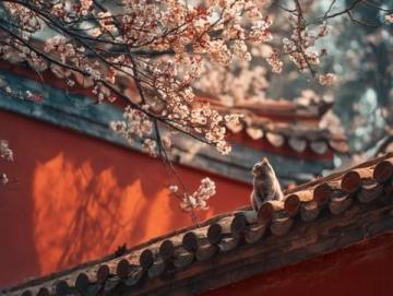 中國(guó)各地春節(jié)習(xí)俗大盤點(diǎn)，你家鄉(xiāng)上榜了嗎？