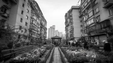 深圳：自由生長(zhǎng)的改革樣本