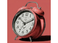 探索晝夜節(jié)律調(diào)控機理及其在睡眠障礙與疾病治療中的應(yīng)用