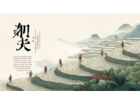 博鰲美食節(jié)盛大開啟