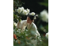 農(nóng)家春味濃，野菜香滿園，城里售價翻倍貴