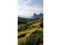 這些城市的名字串起來就像一條獨特的旅行路線,沭陽縣有著獨特的鄉(xiāng)村風(fēng)光