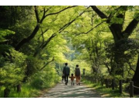 全國(guó)五大踏青公園推薦，解鎖春日親子樂(lè)趣之旅