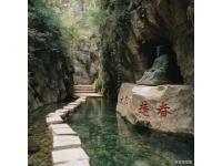 九皇山花溪景辛夷花賞花攻略: 時光、路線、美食交通指南