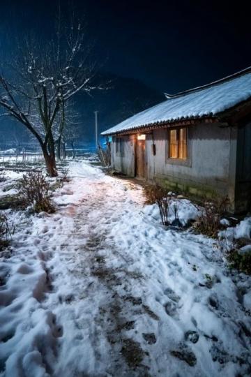 煙臺(tái)招遠(yuǎn)，冬至將至，入冬之后的兩場降雪，路邊的菊花傲視風(fēng)雪的姿態(tài)。