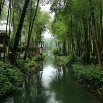 一探杭州西溪濕地魅力，顛覆你對景點的認知