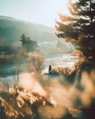 煙臺(tái)招遠(yuǎn)，冬至將至，入冬之后的兩場降雪，路邊的菊花傲視風(fēng)雪的姿態(tài)。