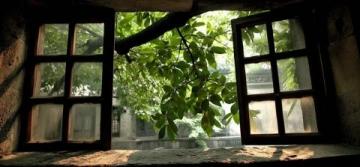 探秘歷史文化名城：揚(yáng)州值得一游的多重魅力