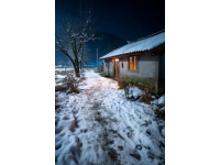煙臺招遠(yuǎn)，冬至將至，入冬之后的兩場降雪，路邊的菊花傲視風(fēng)雪的姿態(tài)。