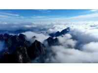 一探杭州西溪濕地魅力，顛覆你對(duì)景點(diǎn)的認(rèn)知