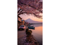 日本旅行指南：穿越時空體驗(yàn)東方美學(xué)