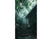 （實拍）成都農(nóng)科村，免費4A景區(qū)，以前最喜歡去的農(nóng)家樂聚集地