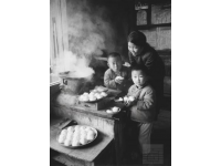 一位農(nóng)村娃的奮斗史，從一無所有到年賺50萬，就因為做了這件事