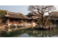 周日繼續(xù)探索江門