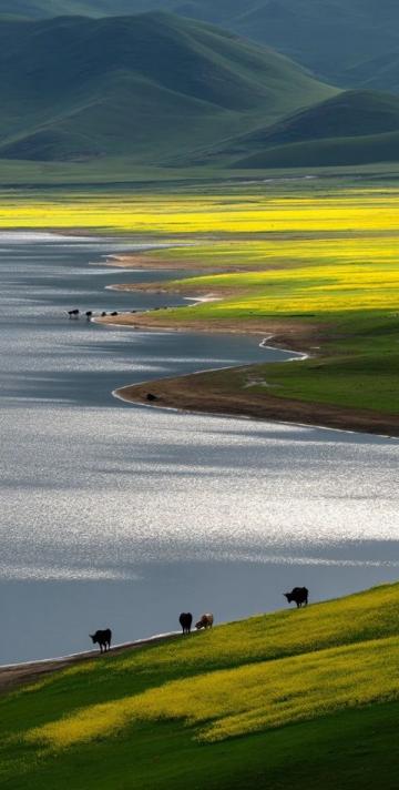 青海甘肅旅游攻略：全面詳盡行程指南，必看景點(diǎn)門(mén)票及出行建議