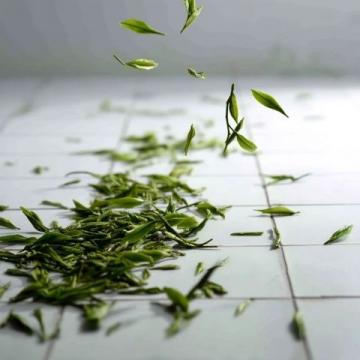 每天一杯普洱茶，身體會(huì)收獲哪些驚喜？